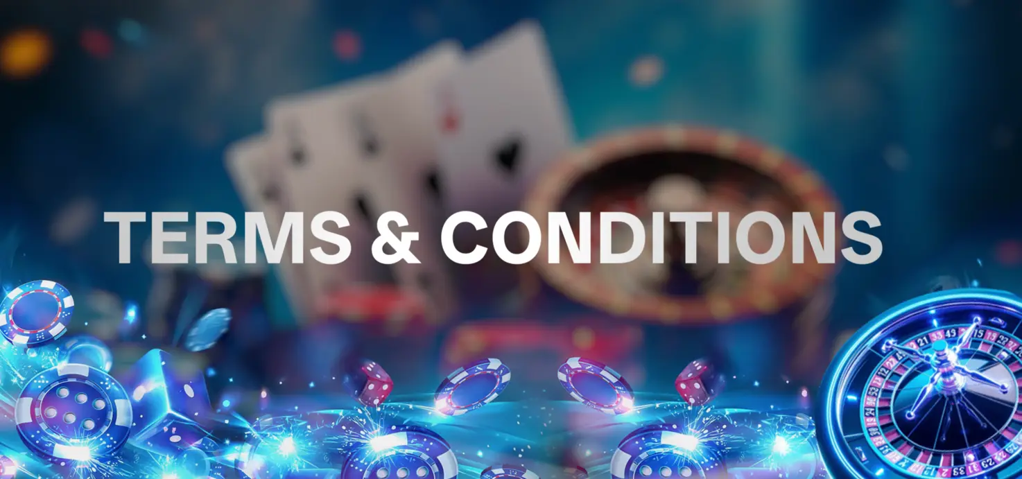 Terms and Conditions Banner