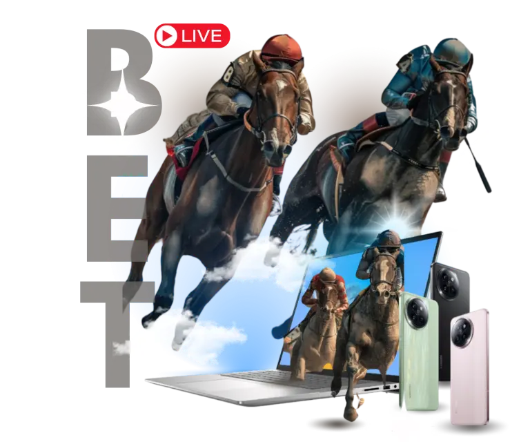 Horse Racing Promotion