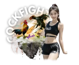 Cockfight